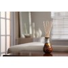 Hosley Set The Mood with 108 Rattan Diffuser Reeds 7-Inch