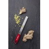 Microplane Microplane Classic Red Zester Grater, Stainless Steel - Citrus