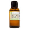 1 fl oz - Eucalyptus Essential Oil - (100% Pure