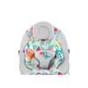 Bright Starts Baby Bouncer Soothing Vibrations Infant Seat - Taggies,