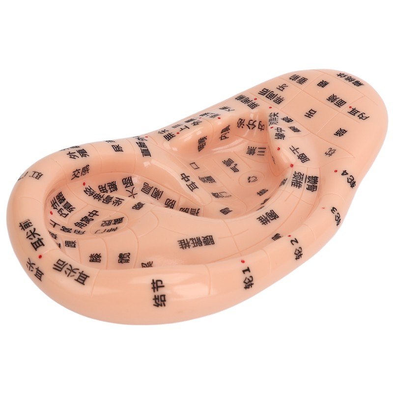 Ear Sticker Acupuncture Kit 600pcs Ear Massage Sticker Acupuncture Model