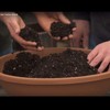 Coast of Maine Organic & Natural Bar Harbor Blend Potting