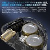 CCA Rhapsody Tunable Hybrid In-Ear Monitor, 2 Dynamic Drivers and