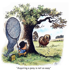 Thelwell Horse riding greeting card. How to get a pony. Fun cartoon