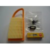 Rotary/Walbro Tune Up Service Kit for Stihl BR600 BR550 BR500
