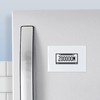 CafePress Zoom License Plate Magnets Rectangle Magnet (100 pack)