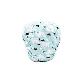 liltourist Swim Nappies Pack of 2 for Babies Washable and Reusable Size Adjustable for Newborn and Toddlers up to 2 Years (3-15 kg) LT3694