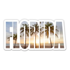 Squiddy Florida - Vinyl Sticker for Car, Laptop, Notebook (5.5" Wide)