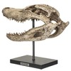 SUMMIT COLLECTION Polystone Alligator Skull Replica Model On Stand with