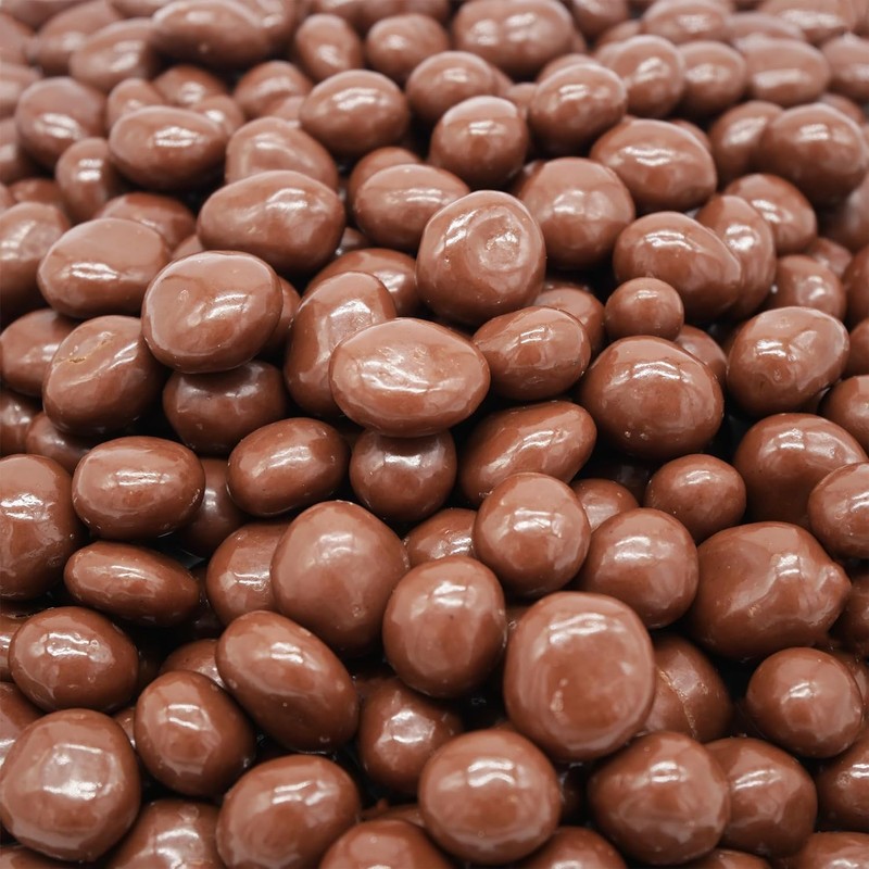Hayden Valley Foods Milk Chocolate Covered Raisins | 26 oz