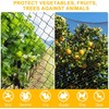 BSTPCOO Chicken Netting 25'x25' with 1" Mesh Nylon Bird Netting