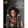 Twist It Up New Gold Standard Shampoo & Conditioner Set,