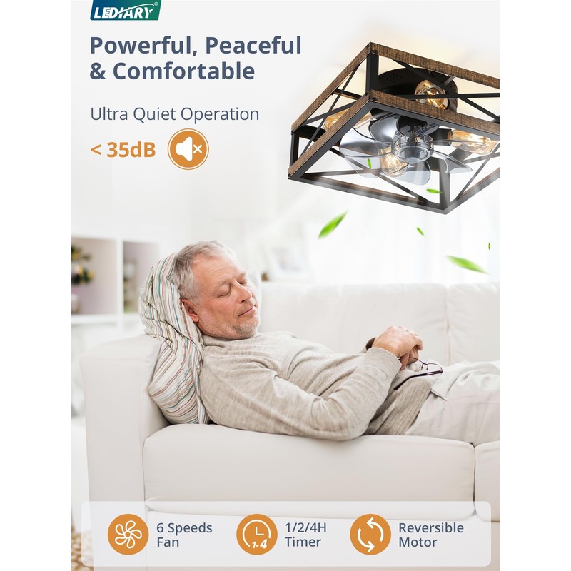 LEDIARY Caged Low Profile Ceiling Fans with Lights and Remote,