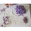 Saffron Threads DOP L’Aquila – Abruzzo, Italy - 1 g