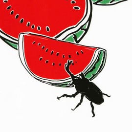 Someno Anbo Tenugui "Delicious Watermelon" Hand Towel, 100% Cotton, Tokuoka, Made in Japan, 13.8 x 39.4 inches (35 x 100 cm)