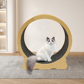Hteedy Cat Exercise Wheel Cat Treadmill, 42" Cat Exercise Wheel Indoor Use Cat Toy Cat Running Wheel Full Wrap-Around Design Cat Wheel Exerciser for Fitness Weight
