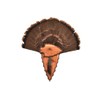Arrowhead 2 Piece Turkey Plaque- Standard Hardwood