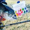 Premium 18-piece bait set with rubber baits, spoons, hooks with
