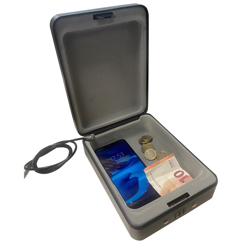 Arregui C9427 Security Box with Cable for fixing, Black