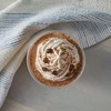 Big Train Low Carb Mocha Blended Ice Coffee Beverage Mix,