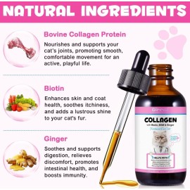 Aromixe Liquid Collagen for Cats - Hip and Joint Support with MSM, Ginger Boost Immunity