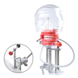 Dental Simulator Manikin Phantom Head Manikin Realistic Cheeks with 360-Degree Rotation of The Head Detachable Artificial Teeth for Teaching and Learning(Table Type)