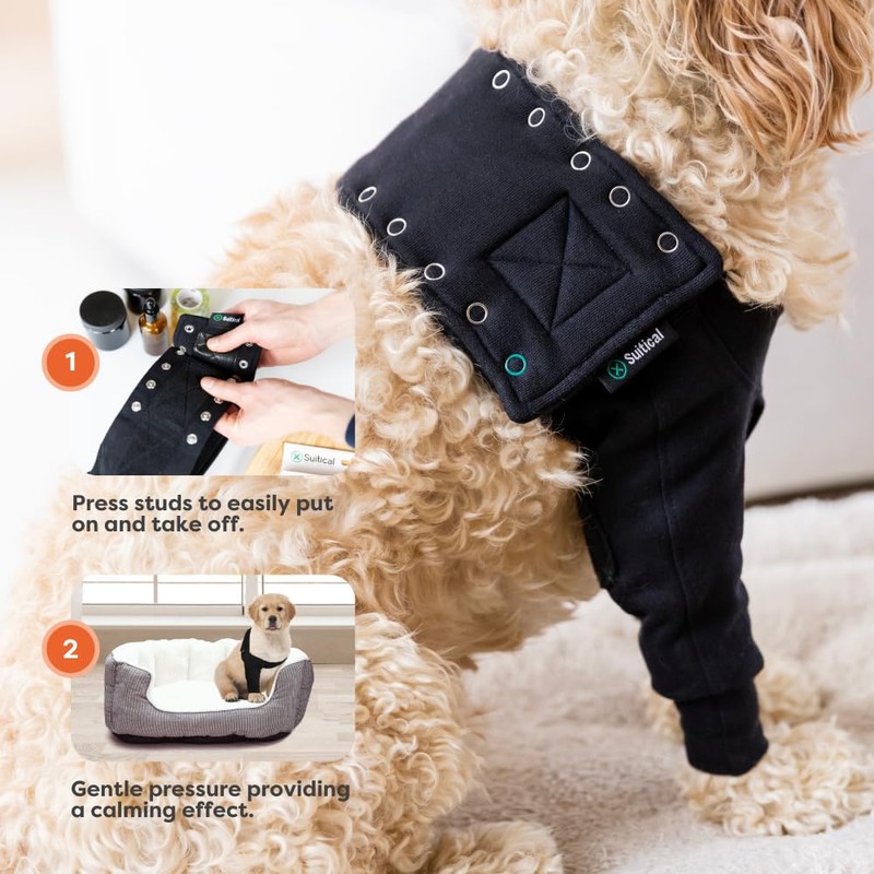 Suitical Recovery Sleeve for Dogs | Front Leg Protection After