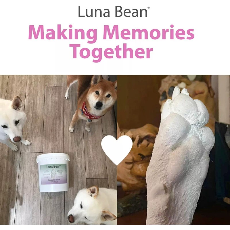 luna bean Cubeta Molde De Yeso Para Manos Familia Adorno