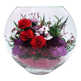 Fiora Flower | Long Lasting Real Roses in a Sealed Vase | Lasts up to 5 Years | Unique Present Gift (Enigma)