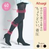 Atsugi NP1444 Compression Thermal Tights, 40 Denier, Not Too Tight,