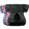 Kitty Bum Bums Reusable Cat Diapers and Stud Pants to