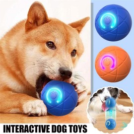 Xihongshi Shaky Ball Toy for Dogs (Cosmic Blue)