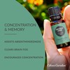 Edens Garden Concentration & Memory Essential Oil Blend, Best for