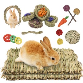 Episkey 2pcs Grass Mat for Rabbit, Bunny Chew Toy for teeth Natural wowen bed mat for Hamster Guinea Pigs Rat Chinchilla and gerbils,Boredom Breaker toys for Small Animals (Typ1)