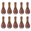 10pcs Small Wooden Spoons Cooking Condiments Spoons for Kitchen Seasoning