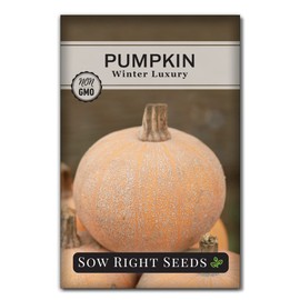 Sow Right Seeds - Winter Luxury Pumpkin Seeds for Planting - Non-GMO Heirloom Packet with Instructions to Plant & Grow an Outdoor Home Vegetable Garden - Sparkly Frosted Skin, Delicious for Baking (1)