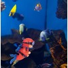 Vibrant Aquarium Decoration Set | 2 Pcs, Diver and Treasure