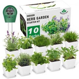 Indoor Herb Garden Kit – 10 Non-GMO Herb Seeds with Soil, Pots & Moisture Meter – Easy Windowsill Gardening Starter Set – Unique Gift for Gardeners, Home Chefs & Families
