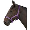 Gallop Basic Nylon Headcollar and Lead Rope Set, Full Size,