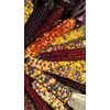 NIKA SEEDS - Vegetable Corn Montana Mix Heirloom for Salads