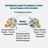 Lens-Aid Silica Gel Bag Desiccant Regenerable with Indicator as Desiccant