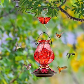 BOLITE - Foso de hormigas para comederos de colibríes, protector de hormigas de 5 onzas con gran capacidad, protector de hormigas colgante para exteriores, forma de flor roja, paquete de 2