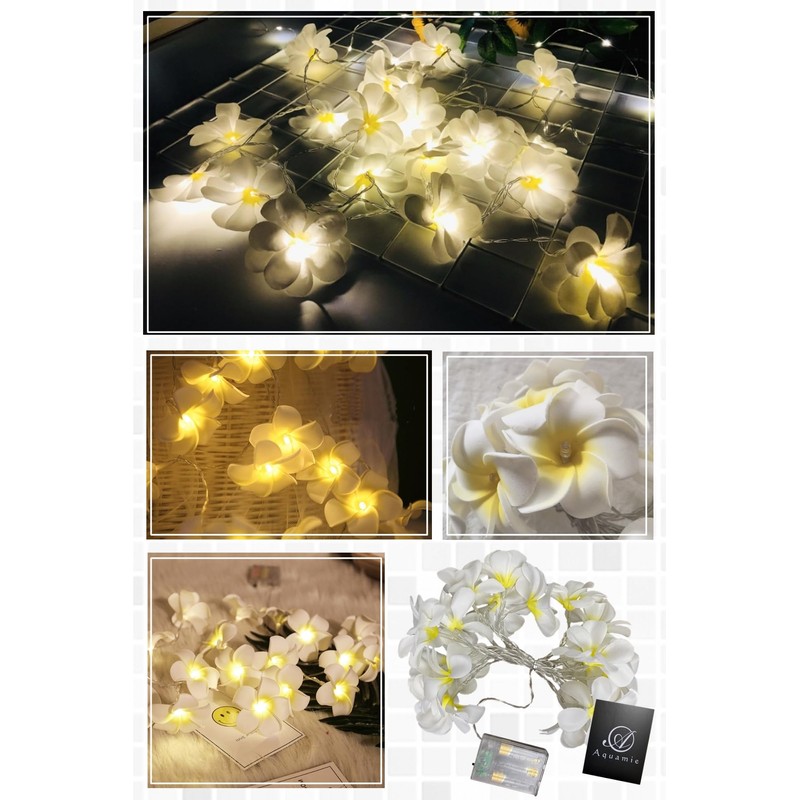 Aquamy Plumeria Garland String Light, Indoor LED Flower Decoration, Artificial