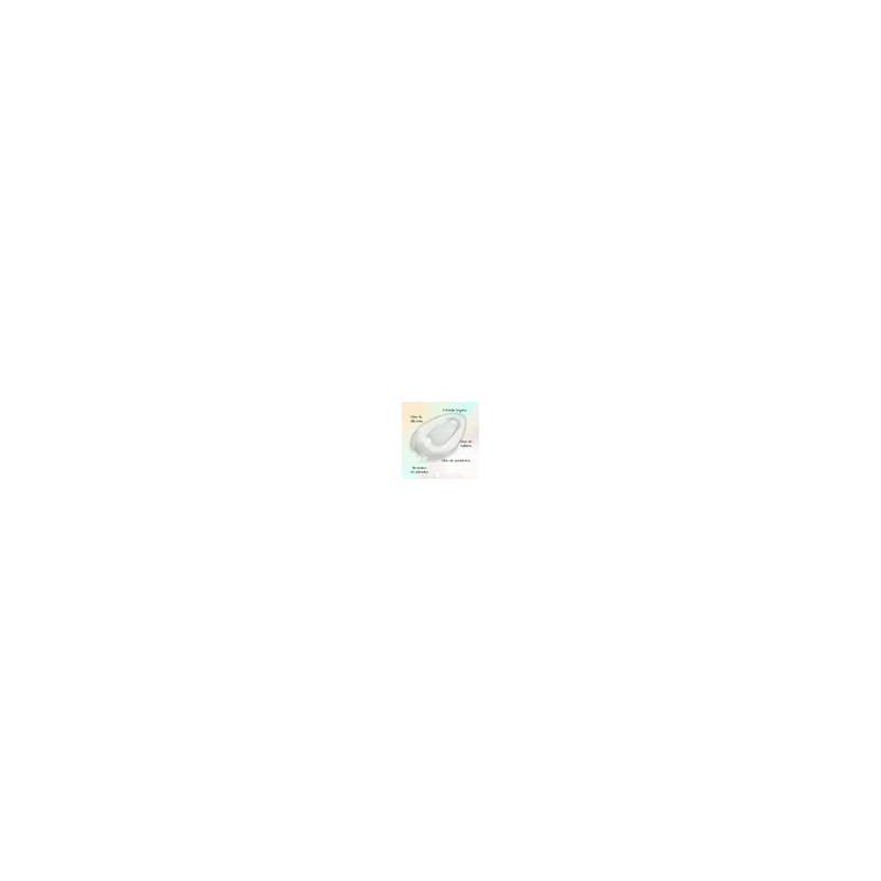 Shampoo Anne Rothshield Colágeno Y Biotina700 Ml