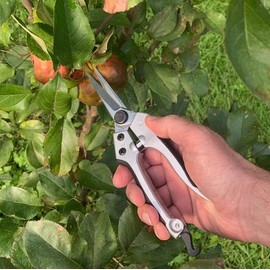 Kings County Tools - Juego de herramientas de podadora de jardinería y paisajismo Bypass de madera húmeda Yunque de madera seca Cortadores de flores Cuchillas japonesas afiladas Asas de