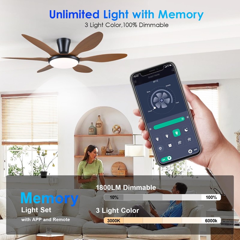 Ceiling Fans with Lights, 51 inch Modern Low Profile Ceiling