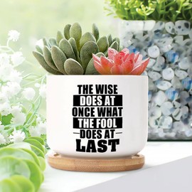 DecStic The Wise Does at Once What The Fool Does at Last Ceramic Planter Bible Verse Pots for Plants with Drainage Holes and Saucers Pot for Home Office Desk Garden