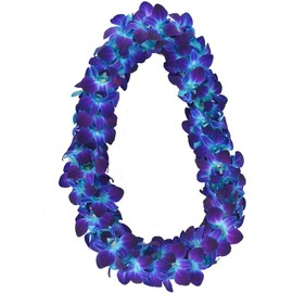Miami Fresh Orchid Flower OrchidClub USA Sunne Tropical Loose Bloom DIY Lei Food Drink Decoration (50 Blue 50 Purple)