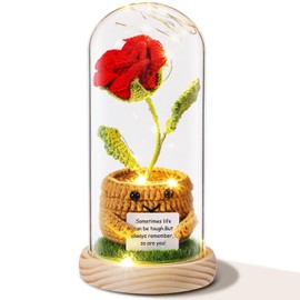Honoson Valentine's Day Rose Gifts for Women Crochet Rose Gifts for Her Wife Girlfriend Mom Light up Rose in Glass Dome Gift for Birhday