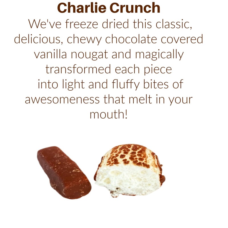 Freeze Dried Candy Charlie Crunch - Chocolate Nougat Candy -